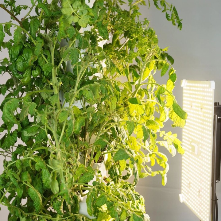 Hydroponisches Pflanzenturm mit 36 Pflanzplätzen