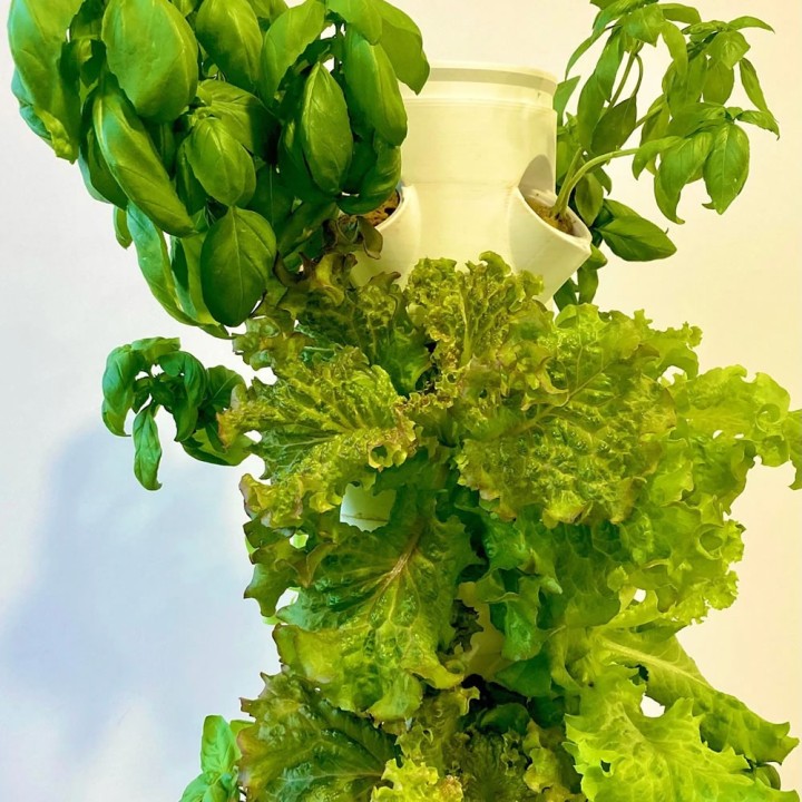 Hydroponisches System, Pflanzenturm mit 36 Pflanzplätzen