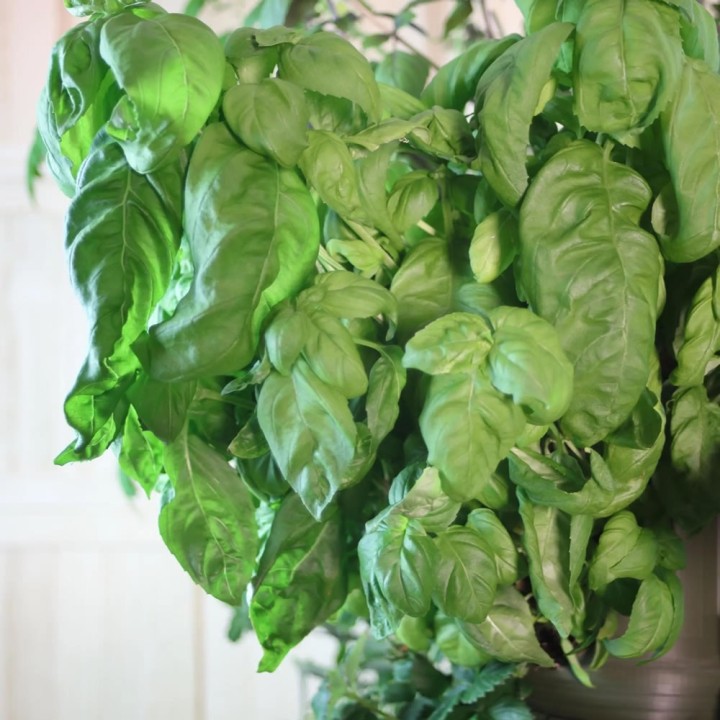 Hydroponisches System, Pflanzenturm mit 36 Pflanzplätzen