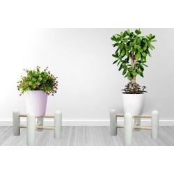 Pflanzentopf Ständer Modernes Design