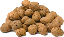 Blähton