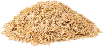 Reishülsen